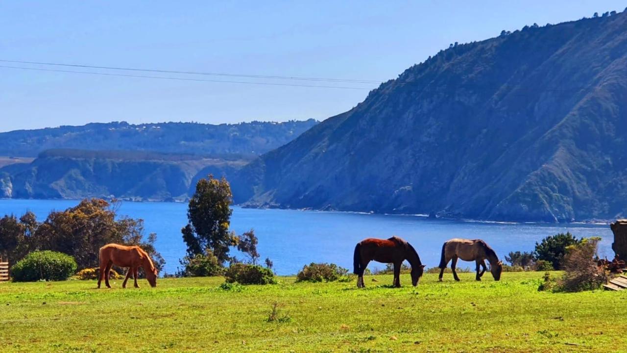 Cabana En Tunquen Con Parrilla, Fogon, Piscina Y Bosque Экстерьер фото