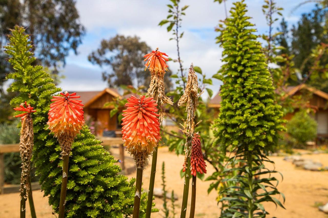 Cabana En Tunquen Con Parrilla, Fogon, Piscina Y Bosque Экстерьер фото
